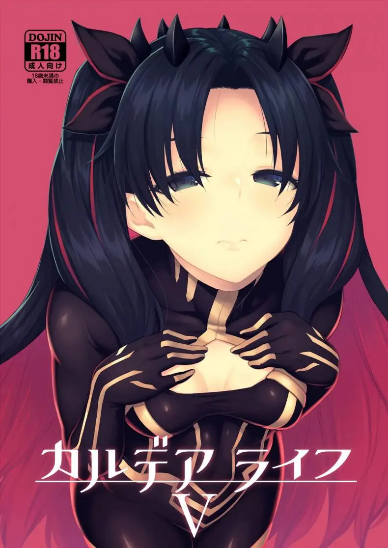 [Hirojuu Renshuuchou (Hiroya)] Chaldea Life V (Fate Grand Order)